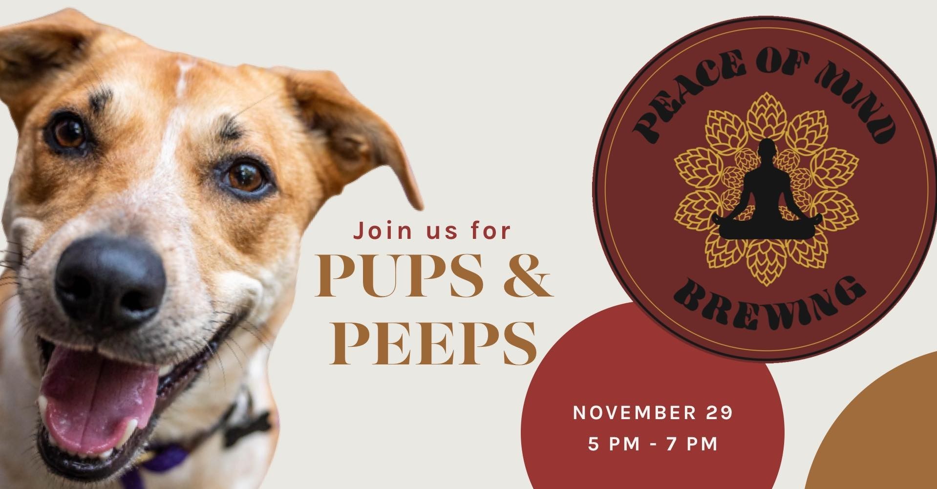 DGS Pups and Peeps November Meet Up